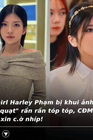 TikTok Haley Phạm " Bán Quạt " Link Xem Full Trực Tiếp